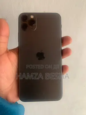 Apple iPhone 11 Pro Max 256 GB Gray