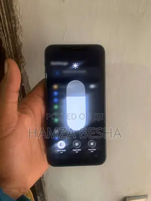 Apple iPhone 11 Pro Max 256 GB Gray