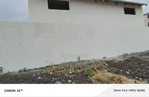 አስተኛ ለስቶር የሚሆን መጋዝን