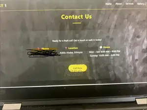 Website Devolepper