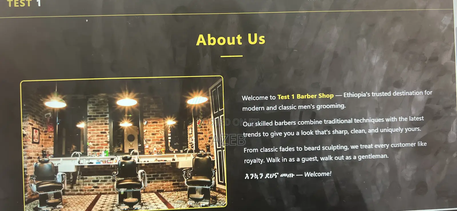 Website Devolepper