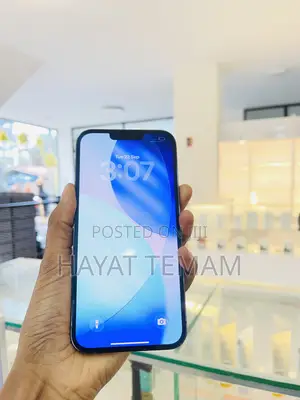 Apple iPhone 13 Pro Max 256 GB