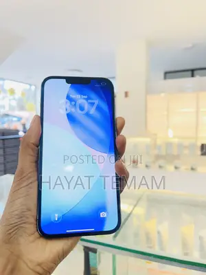 Apple iPhone 13 Pro Max 256 GB
