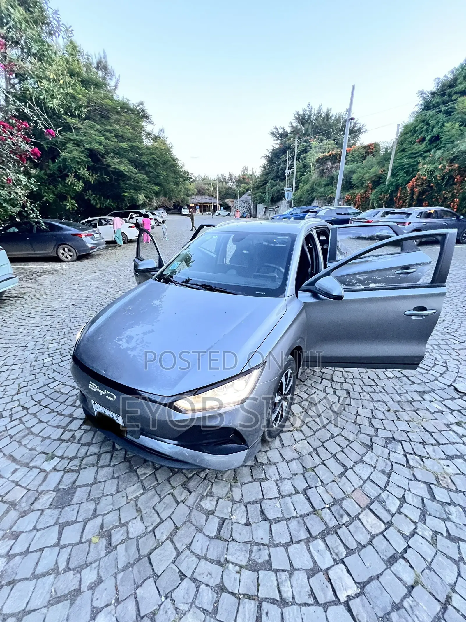 BYD E2 43 kWh 94 hp FWD 2024 Gray