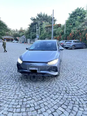 BYD E2 43 kWh 94 hp FWD 2024 Gray