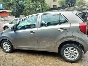 Kia Picanto 2020 Brown