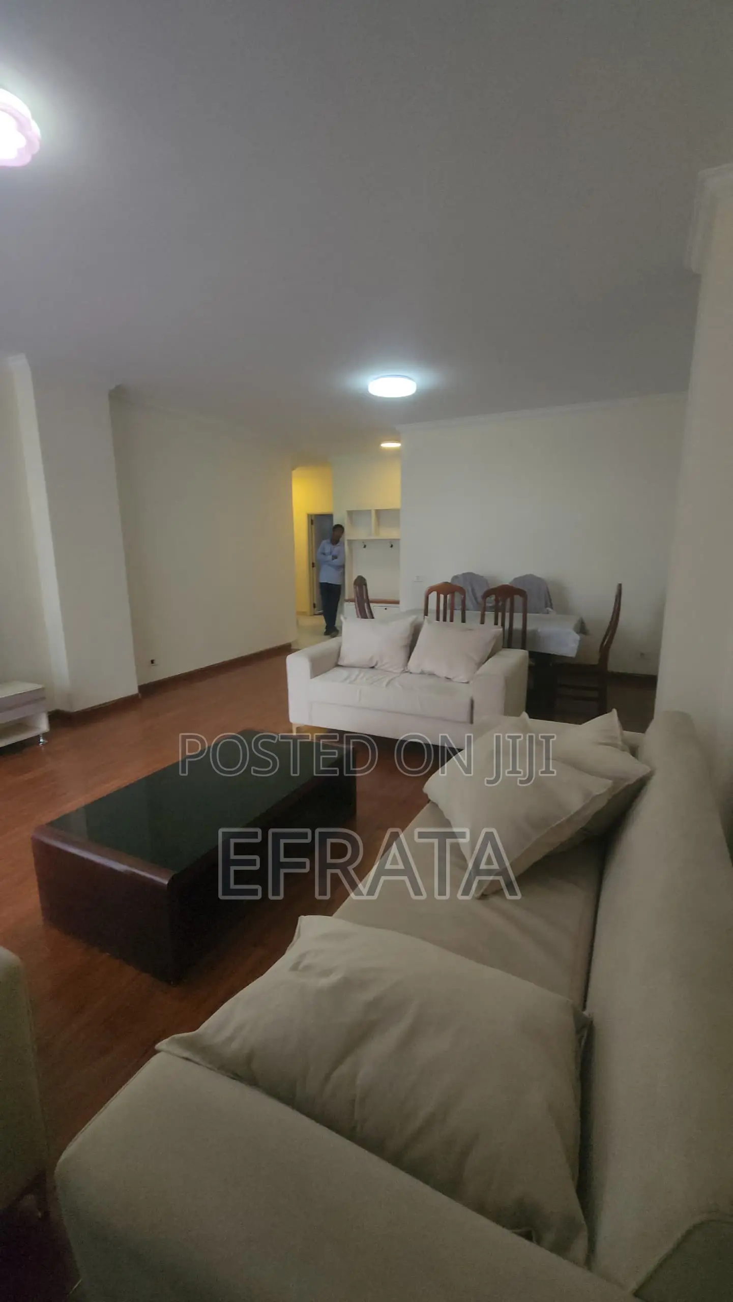 Furnished 3bdrm Apartment in Bole for rent