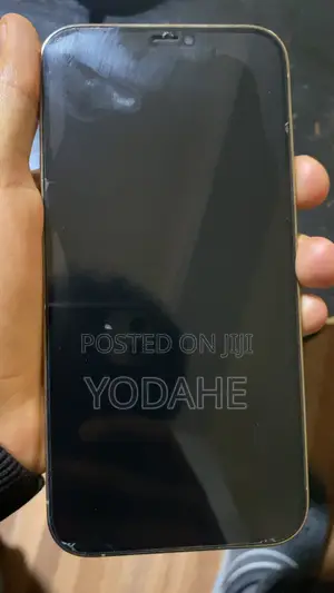 Apple iPhone 12 Pro Max 256 GB