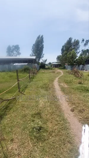 2bdrm House in Oromia, East Shewa for sale