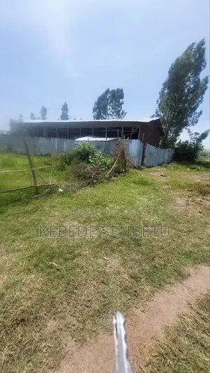 2bdrm House in Oromia, East Shewa for sale
