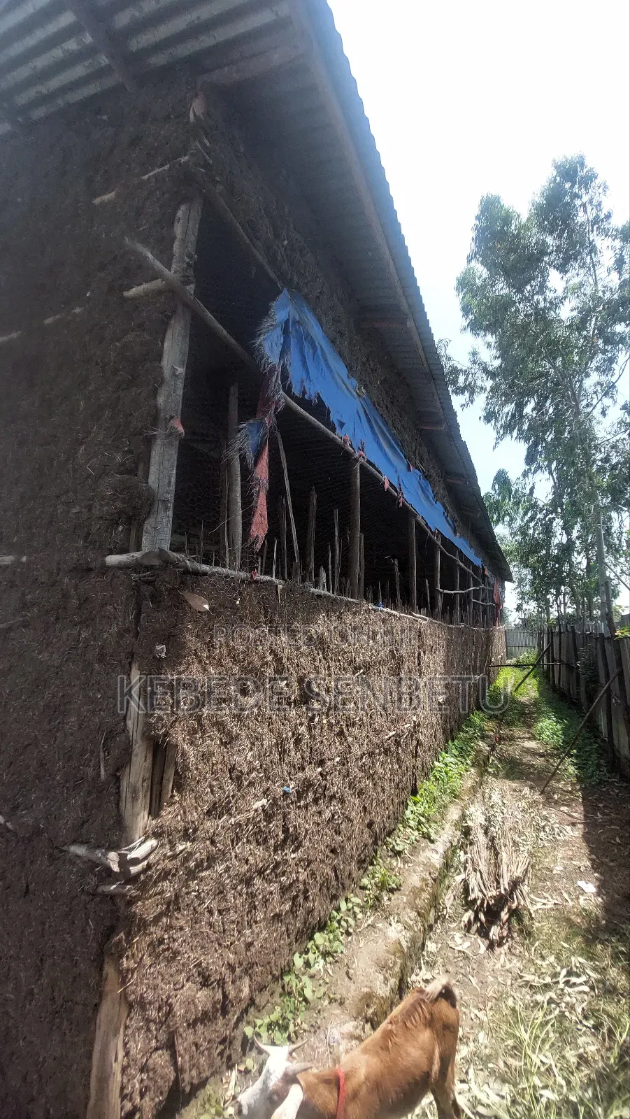 2bdrm House in Oromia, East Shewa for sale