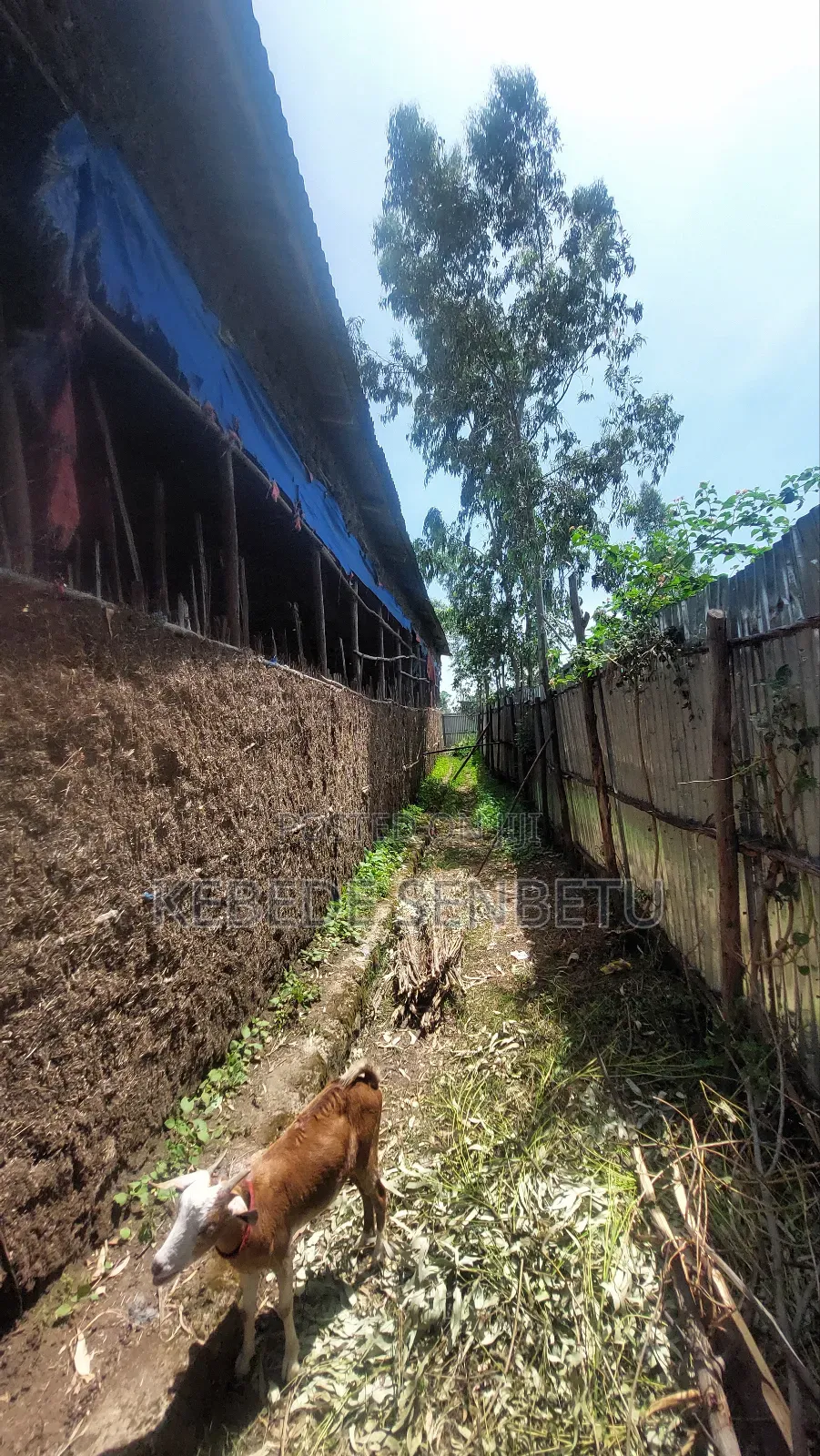 2bdrm House in Oromia, East Shewa for sale