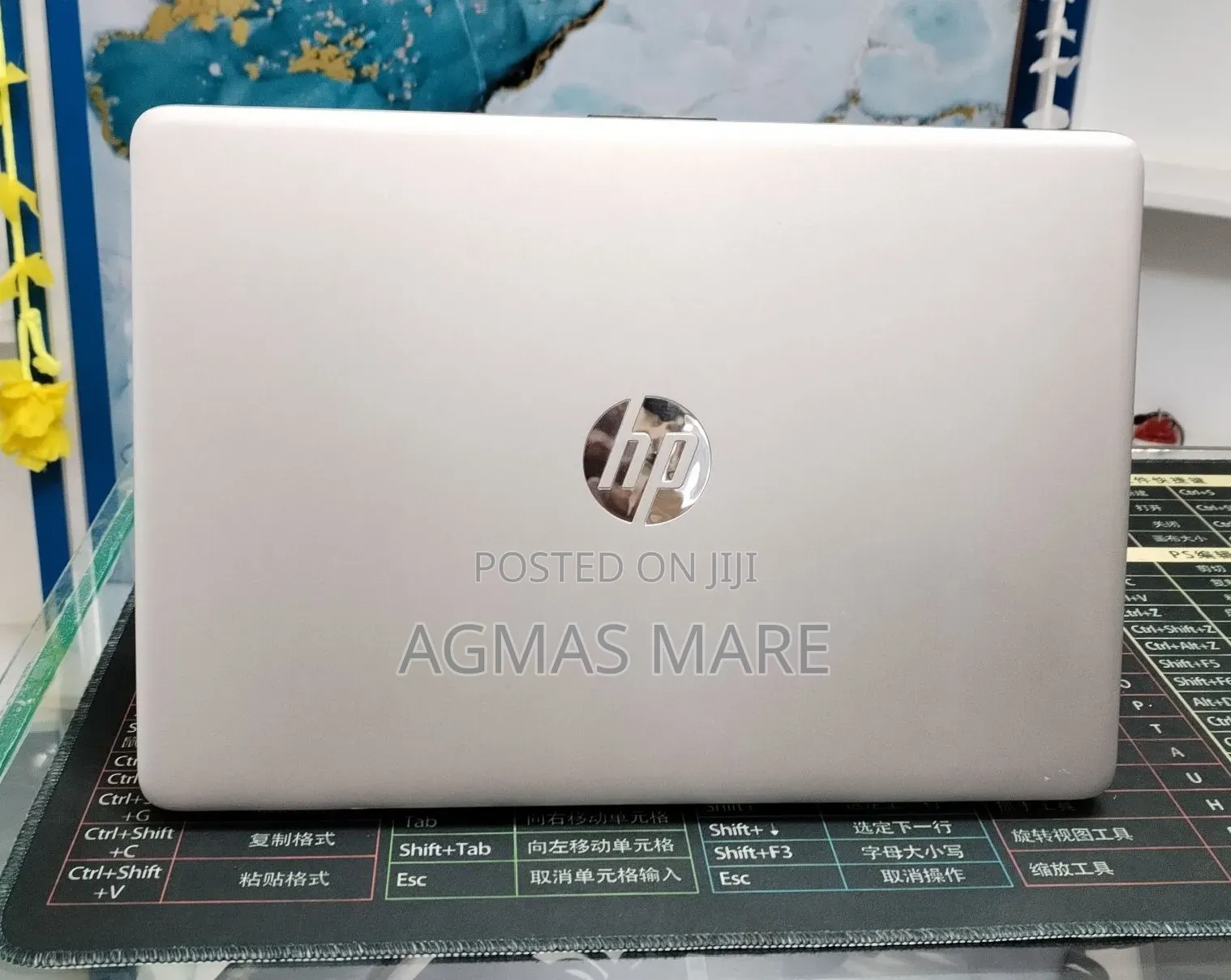 New Laptop HP Stream Notebook 8GB AMD Ryzen 5 SSD 512GB