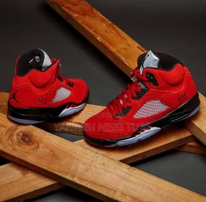 Air Jordan 5 Retro "Raging Bull"
