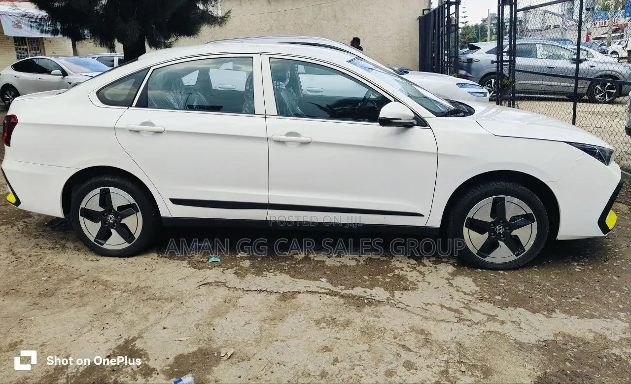 Dongfeng EV EX1 2025 White