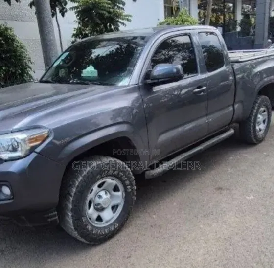 Toyota Tacoma 2019 Teal