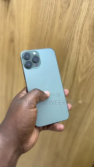 Apple iPhone 13 Pro Max 256 GB Silver