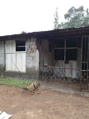 አስቸኩይ የሚሸጥ ቤት