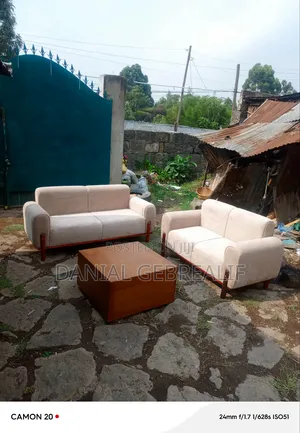 Modern Luxury Sofa