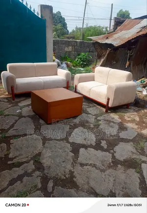 Modern Luxury Sofa