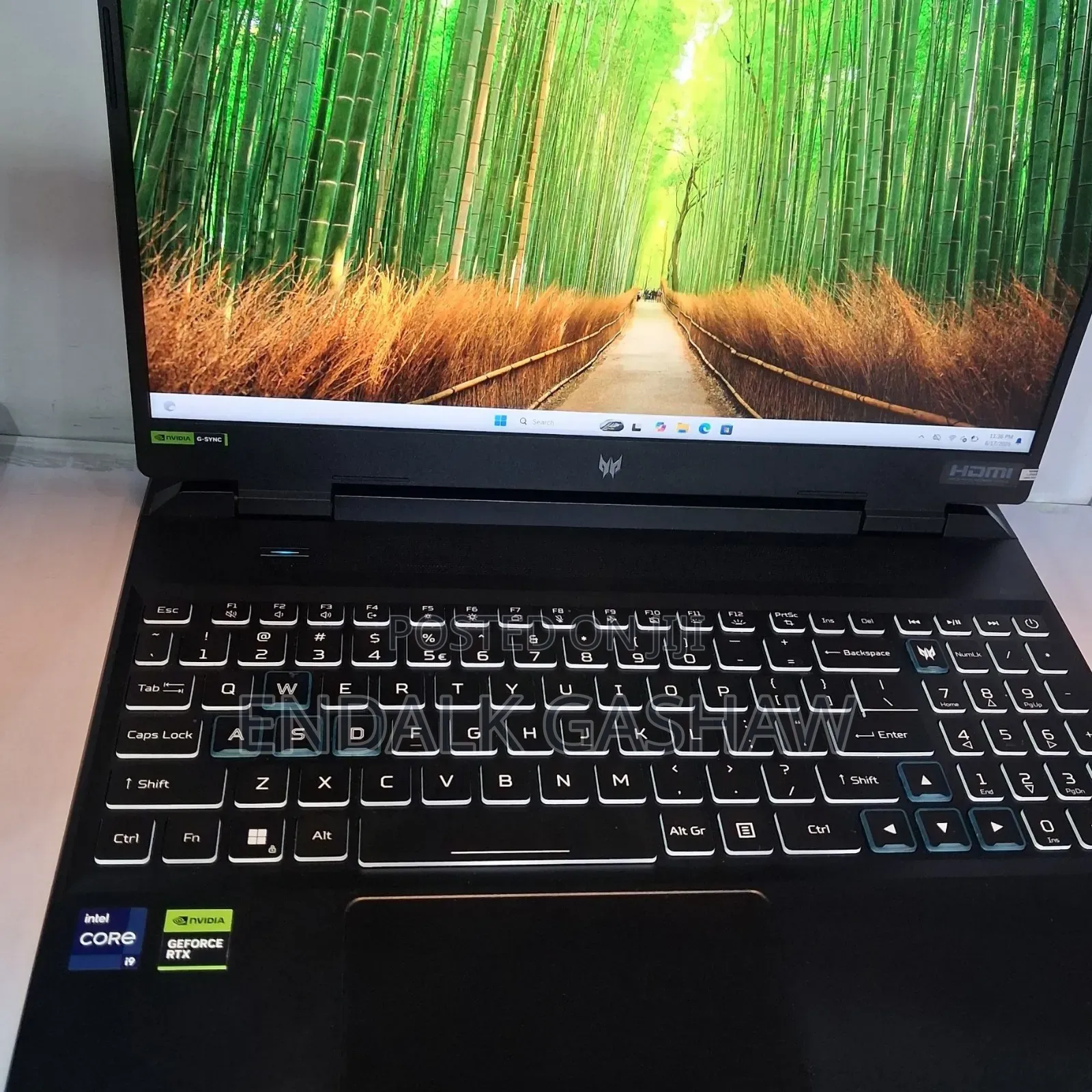 New Laptop Acer Predator Helios Neo 16 16GB Intel Core i9 SSD 1T