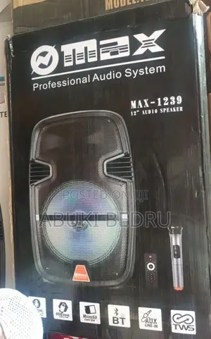 Max 12” Wireless Speaker