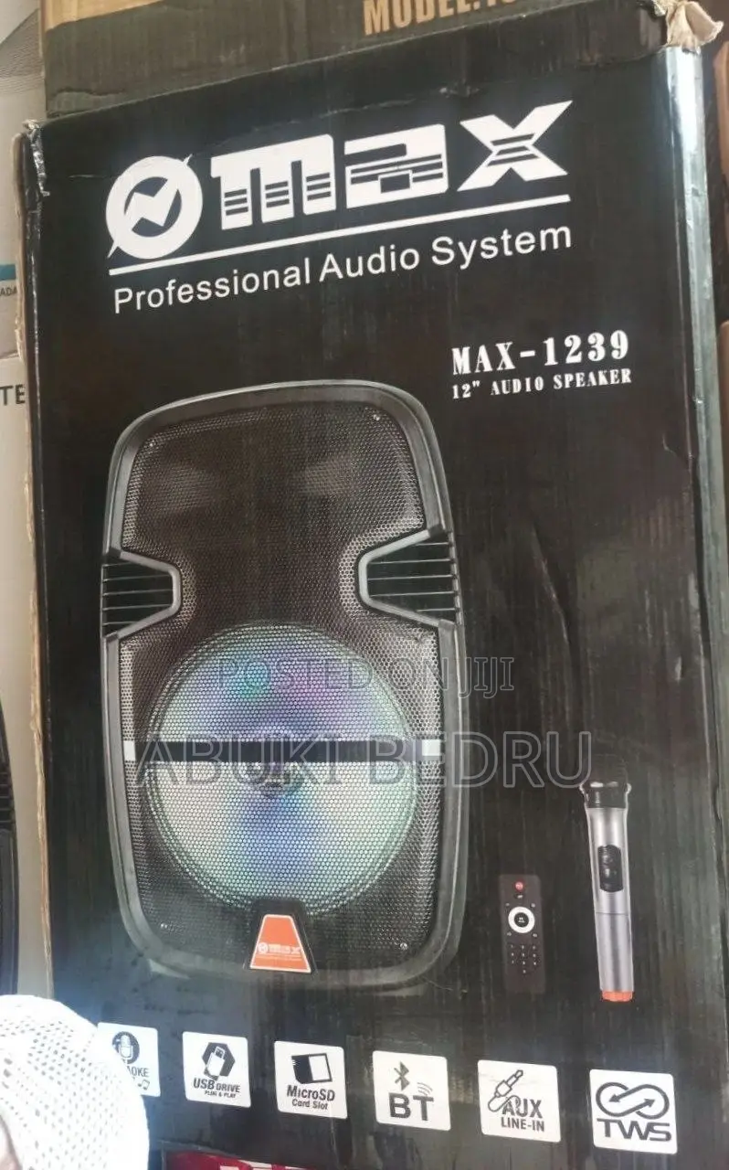 Max 12” Wireless Speaker