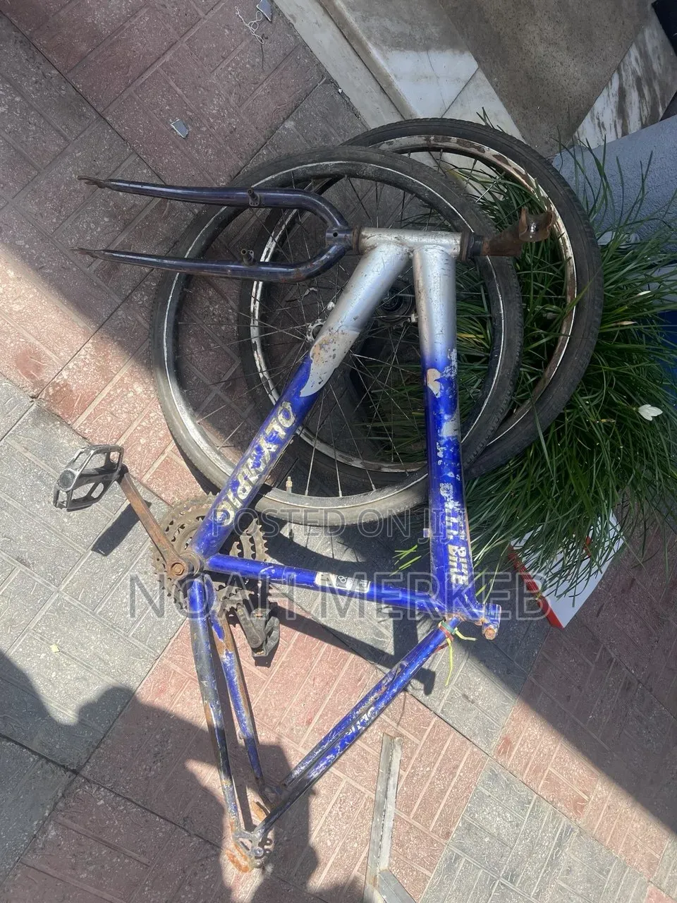 Bike Old Model