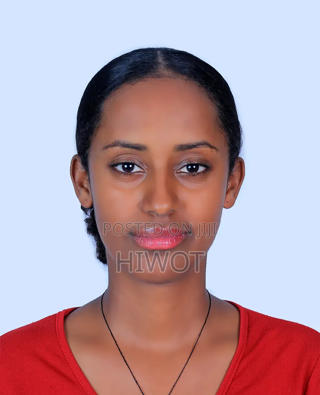 Script Writer 
