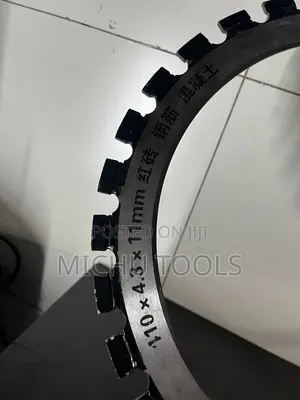 Ring Saw/Slab Cutter