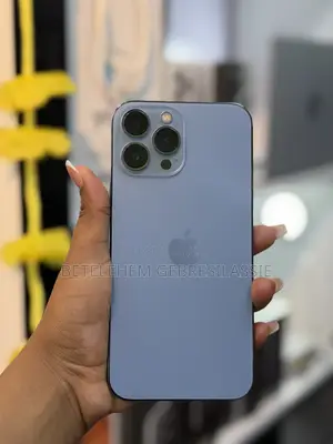 Apple iPhone 13 Pro Max 256 GB Gray
