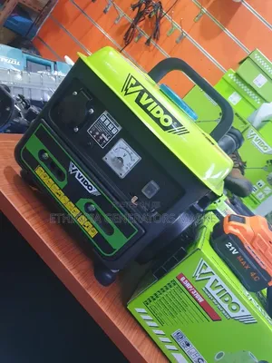 800w Generator for Fridge and TVs