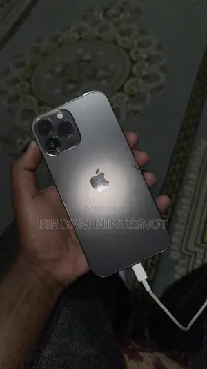 Apple iPhone 13 Pro Max 256 GB Gray