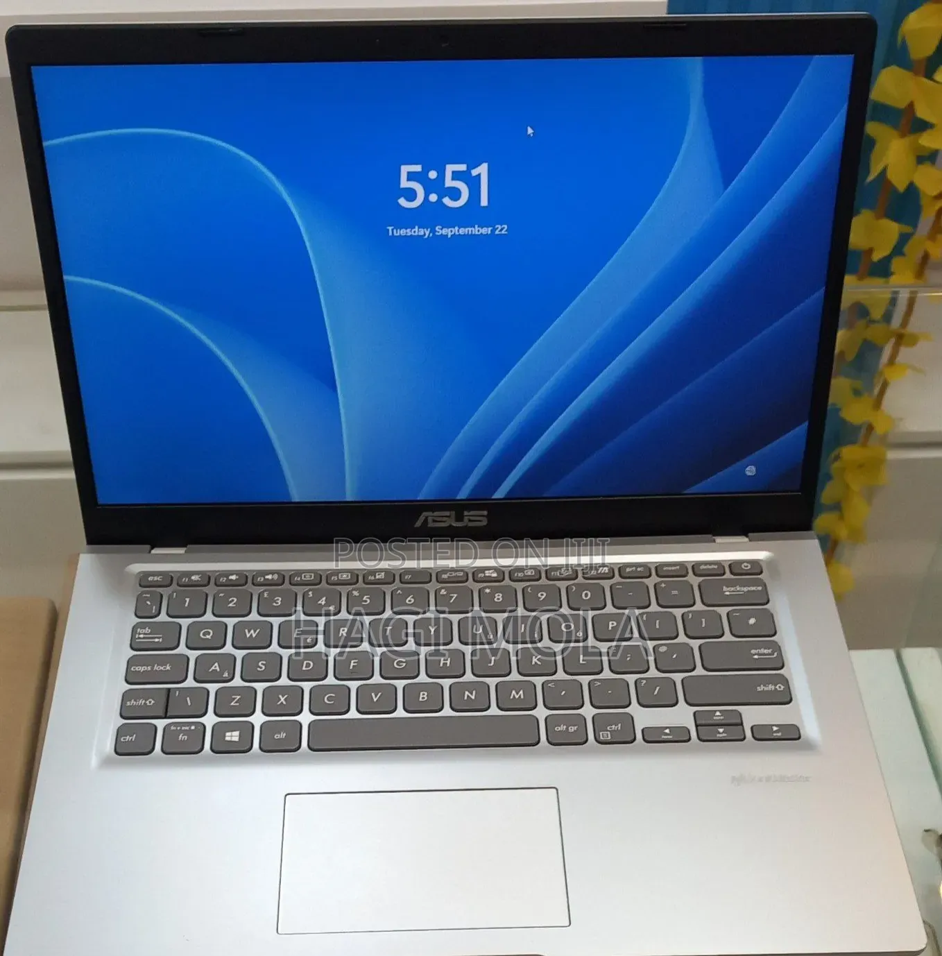 New Laptop Asus VivoBook 15 X505BA 8GB AMD SSD 256GB