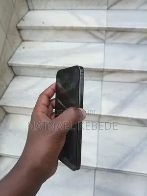 Apple iPhone 13 Pro Max 256 GB Gray