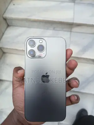 Apple iPhone 13 Pro Max 256 GB Gray