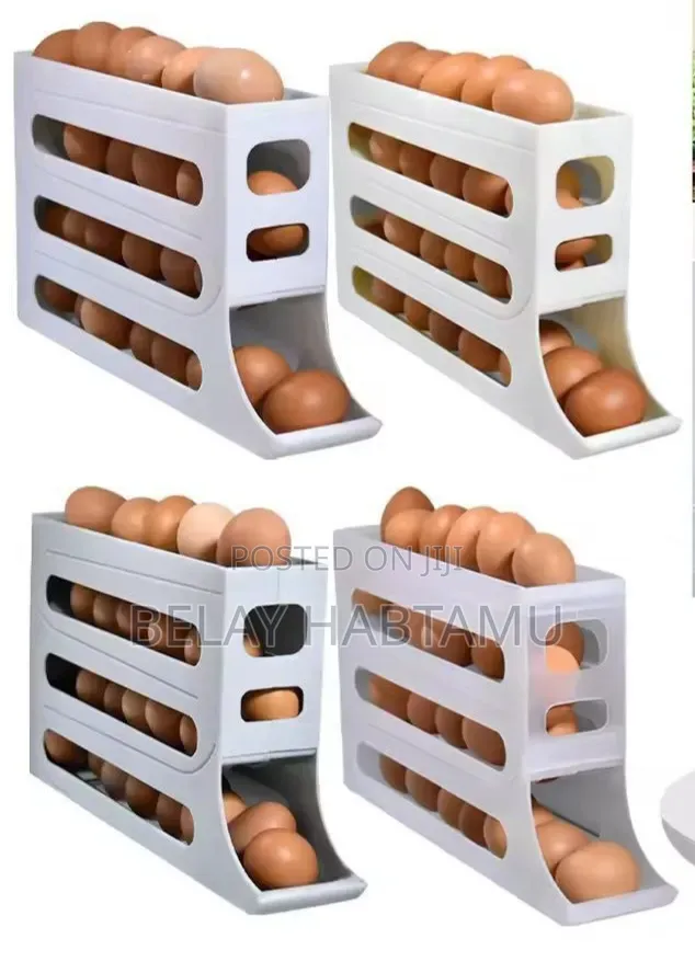 Egg Storage Box
