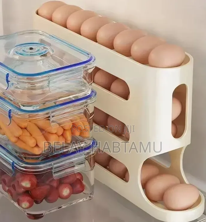 Egg Storage Box