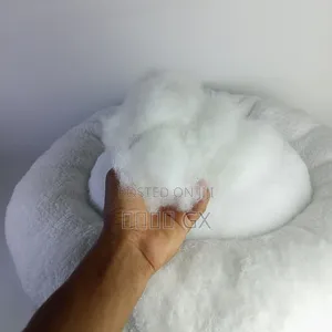 Washable White Goofy Pet Bed• Cat Bed