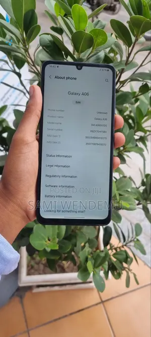 Samsung Galaxy A06 64 GB