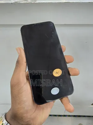Apple iPhone 13 Pro Max 256 GB Graphite