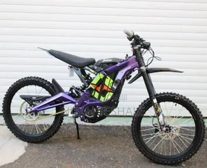 Electric Bike