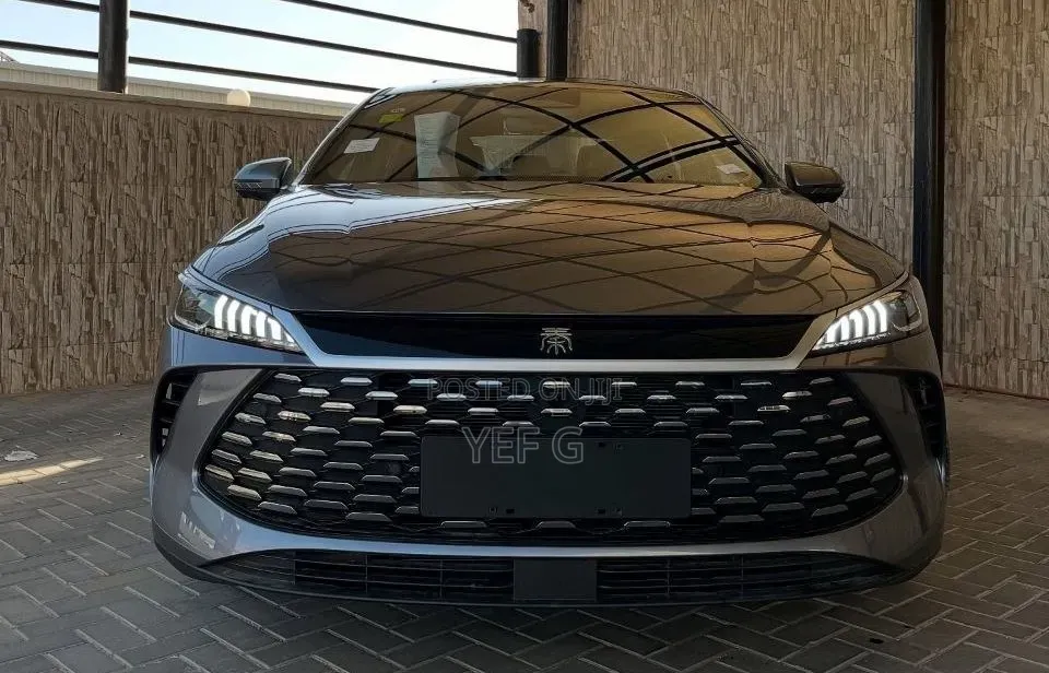 New BYD Qin Plus DM-i 2025 Gray