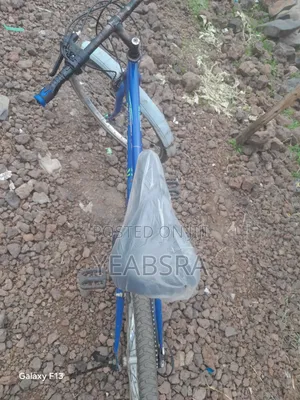 የአዋቂዎች ሳይክል
