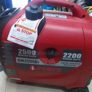 Portable Gasoline Generator