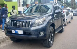 Toyota Land Cruiser 2013