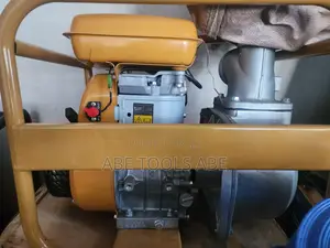 EY20-3D Water Pump