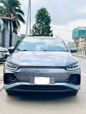 BYD E2 43 kWh 94 hp FWD 2024 Gray