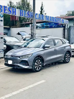 BYD E2 43 kWh 94 hp FWD 2024 Gray