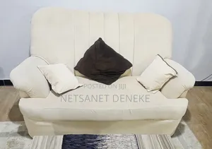በመጠኑ ጥቅም ላይ የዋለ ሶፋ